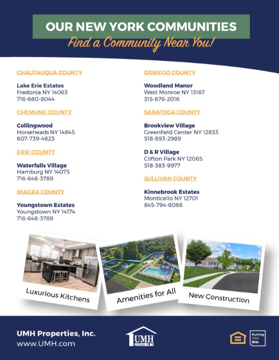 Picture of NY State Flyer