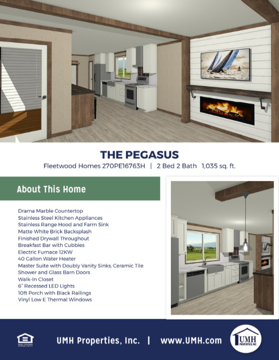 Picture of Pegasus Home Flyer - 2 Sided